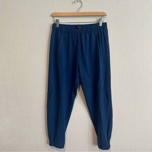 Aritzia By Babaton Dexter Pants